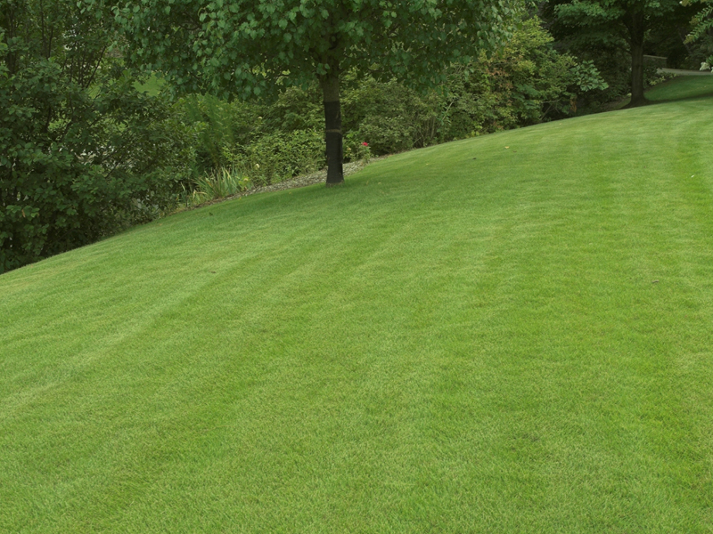 lawn-care-program-1