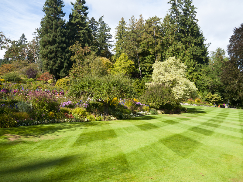 quality-lawn-care--1