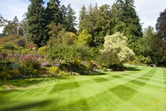 quality-lawn-care--1